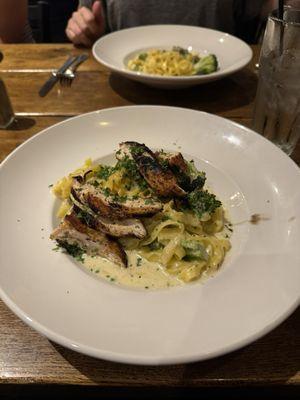 Chicken Alfredo with broccoli (front) and pasta Alfredo with broccoli (back).