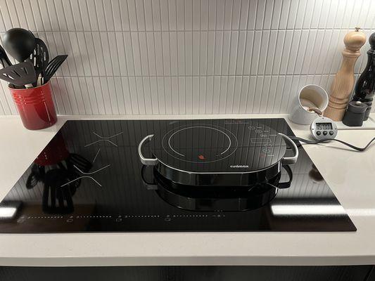 Hot plate sitting on non-working Bertazzoni cook top