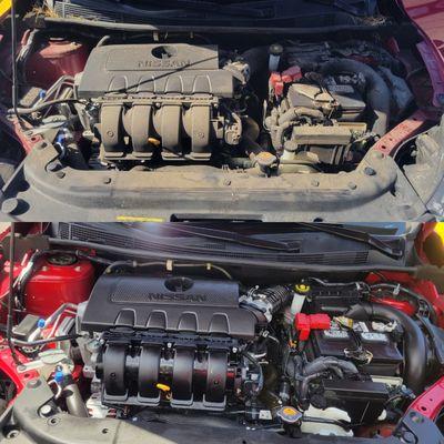 Engine bay detailed