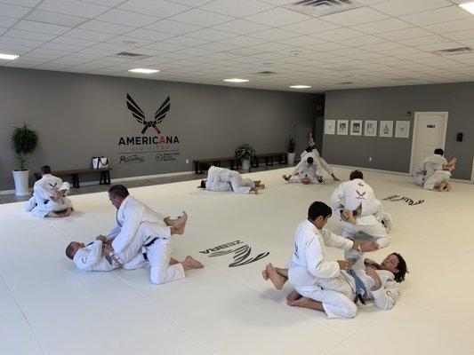 Adult Jiu Jitsu classes offered in both gi and no-gi grappling styles.