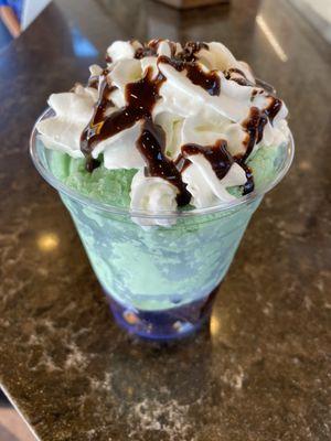 Brownie Bit Sundae with mint chocolate chip ice cream