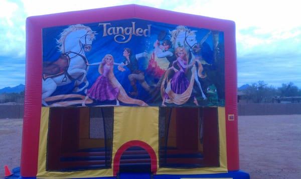 Tangled Module is perfect for your special little one,  This bounce house has different themes or it can be plain.