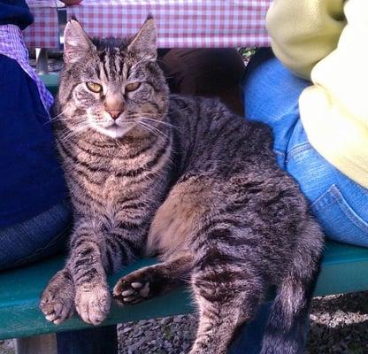 Cosmo joins us in the picnic area.