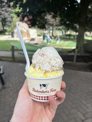 Tollhouse Cookies and Cake Batter Ice Cream