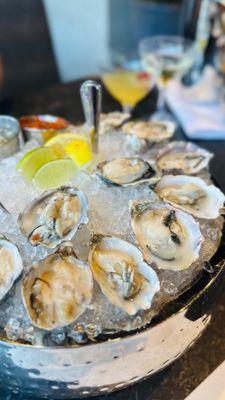 Oysters