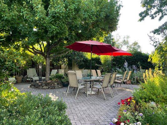 Patio where breakfast is served among these beautiful plants/fountain.