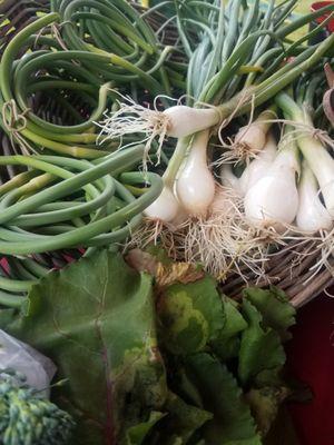 Spring Onions