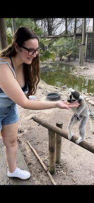 Add on lemur experience