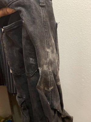 Mold on our clothes