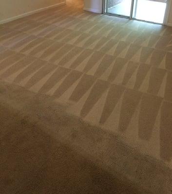 Carpet Cleaning