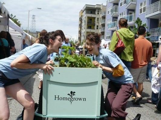 Look for the Homegrown tricycle around town, always looking fly + edible...