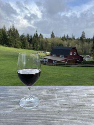 Red blend with a view from the lookout up the hill