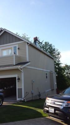 Cleaning the gutters