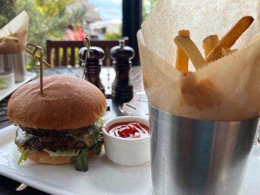 Pub burger with fries