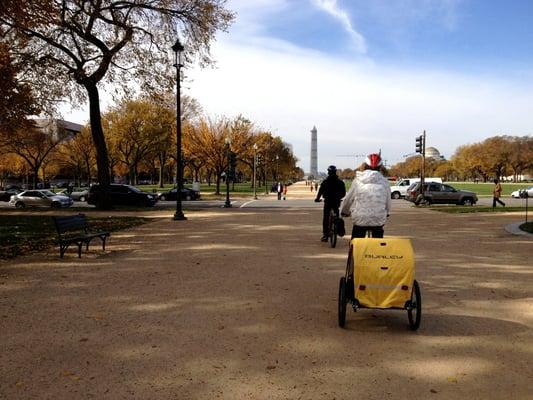 Biking through the national mall on our private tour. Little one toasty in the trolley.