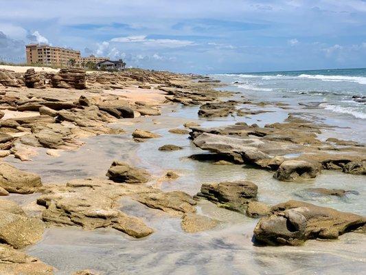 Lots of coquina rocks at north end of beach