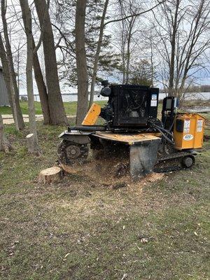 Stump grinding