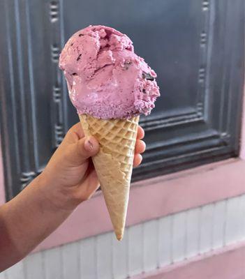 Black Raspberry Chip Ice Cream