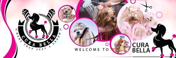 Pet Grooming Salon