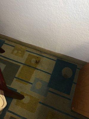 Carpet stain