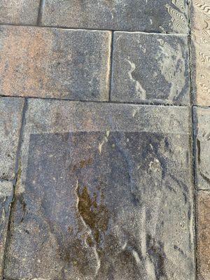 Look at the difference power washing makes!