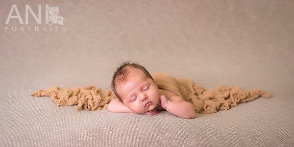 Newborn Photography http://www.aniportraits.com