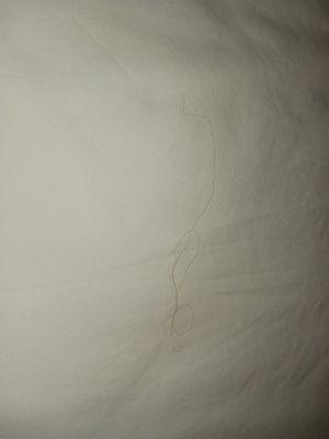 Hair in my bed