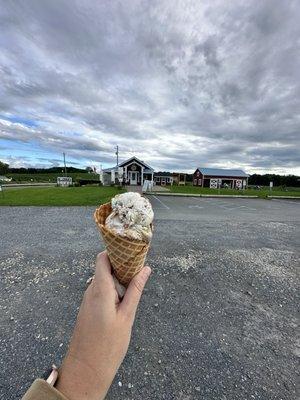 Single scoop of Trash Can in a waffle cone.