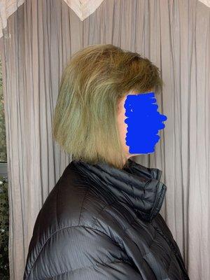 Stylist recommends Viral blue shampoo to bring out cool/gray tones.  Yikes.