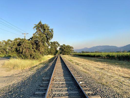 Train tracks near the sign