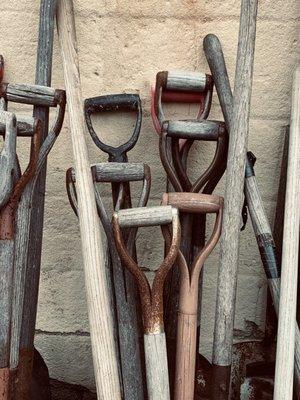 All the old shovels and rakes you could ever want