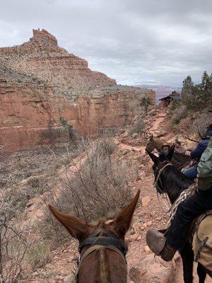 Feb. 2022  Bright Angel Trail