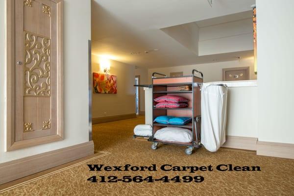 Carpet Cleaning in baden