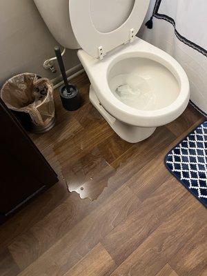 Leaking toilets