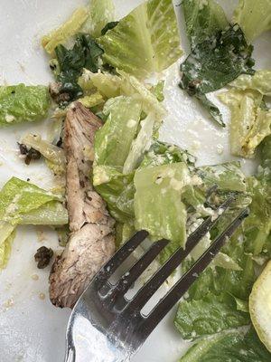 Caesar salad add chicken