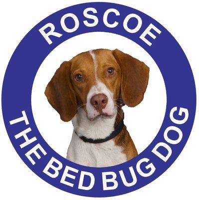 Where's Roscoe? He's Workin'! Roscoe & his fellow K9 detectives inspect homes, schools, libraries, offices, camps, hospitals for bed bugs.