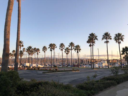 7am walk along the road, looking at the marina.