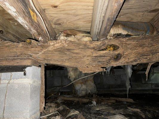 Termite Damage to the home's structure.