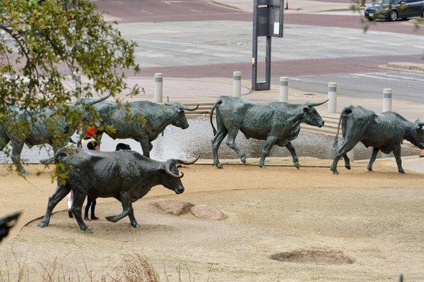 Pioneer Plaza Cattle Drive