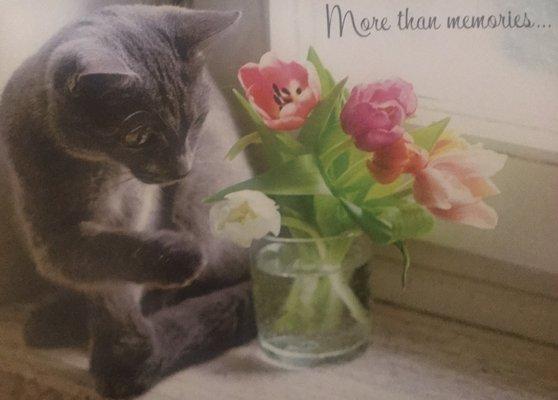 Sweetest card ever... sent by Dr Matthews after our girl went *over the Rainbow Bridge*