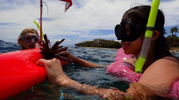 Private 1 on 1 Snorkel tours for first time non swimmers wanting to snorkel mauis reefs!  http://www.shorelinesnorkel.com