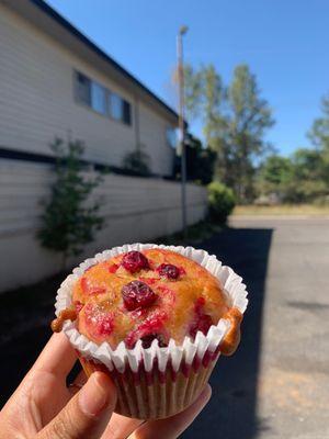 cranberry muffin