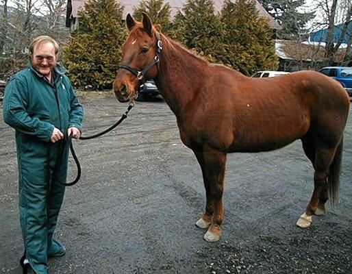 Dr. Mike Foss Performing a Lameness Exam on an Equine Patient