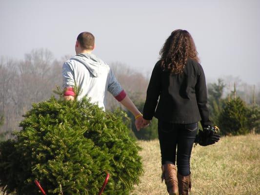 We have enjoyed going to Middleburg Christmas Tree Farm for the past 5 years.  Our son and his girl friend 2013.