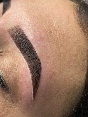 Hybrid Brow Tint