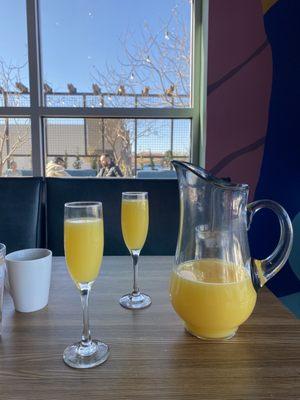 Get their pitch of mimosa, it's perfect for 2-4 people