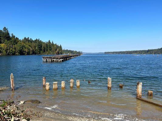 View of Henderson Inlet at the end of the main trail. Watch for seals, especially over to the right.