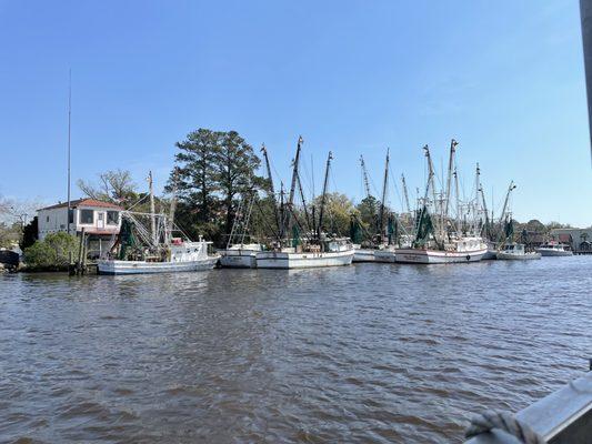 Shrimp boats at the docks