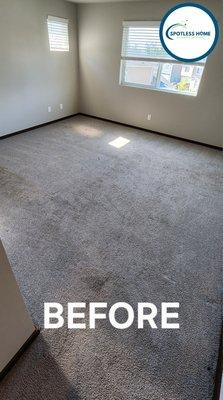 Another clean carpet. BEFORE and AFTER