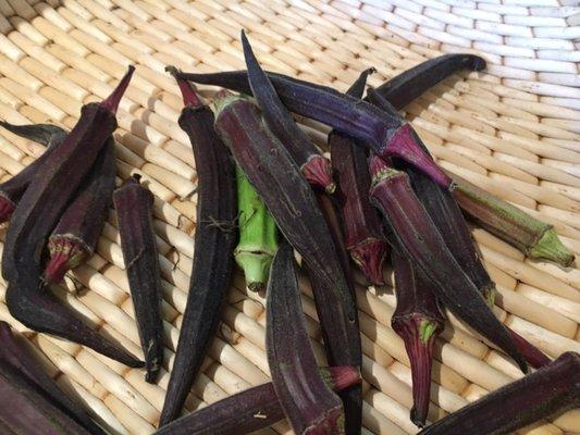 red okra